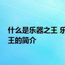 什么是乐器之王 乐器之王的简介