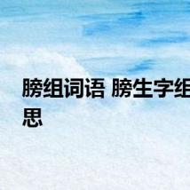 膀组词语 膀生字组词意思