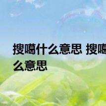 搜噶什么意思 搜噶是什么意思