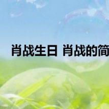 肖战生日 肖战的简介