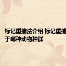标记重捕法介绍 标记重捕法适合于哪种动物种群