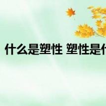 什么是塑性 塑性是什么