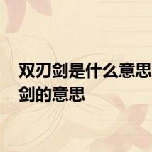 双刃剑是什么意思 双刃剑的意思