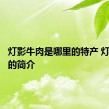 灯影牛肉是哪里的特产 灯影牛肉的简介