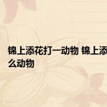 锦上添花打一动物 锦上添花是什么动物
