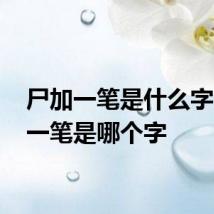 尸加一笔是什么字 尸加一笔是哪个字