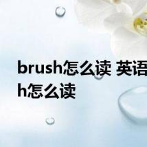 brush怎么读 英语brush怎么读