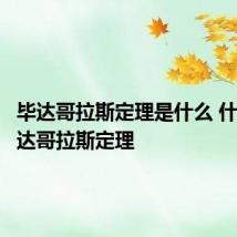 毕达哥拉斯定理是什么 什么是毕达哥拉斯定理