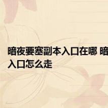 暗夜要塞副本入口在哪 暗夜要塞入口怎么走