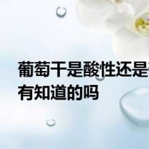 葡萄干是酸性还是碱性 有知道的吗