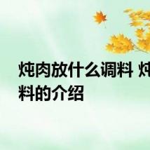 炖肉放什么调料 炖肉调料的介绍