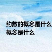 约数的概念是什么 约数概念是什么