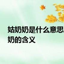 姑奶奶是什么意思 姑奶奶的含义