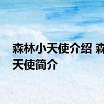 森林小天使介绍 森林小天使简介