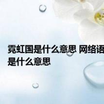 霓虹国是什么意思 网络语霓虹国是什么意思
