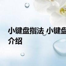 小键盘指法 小键盘指法介绍