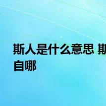 斯人是什么意思 斯人出自哪