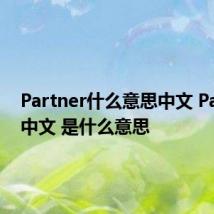 Partner什么意思中文 Partner中文 是什么意思