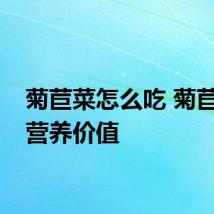 菊苣菜怎么吃 菊苣菜的营养价值