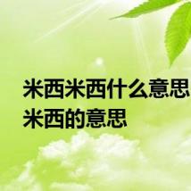 米西米西什么意思 米西米西的意思