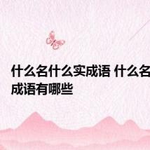 什么名什么实成语 什么名什么实成语有哪些