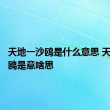 天地一沙鸥是什么意思 天地一沙鸥是意啥思
