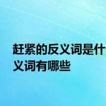 赶紧的反义词是什么 反义词有哪些