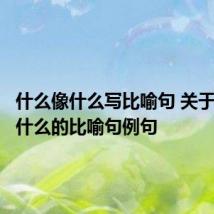 什么像什么写比喻句 关于什么像什么的比喻句例句