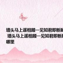 墙头马上遥相顾一见知君即断肠什么意思 墙头马上遥相顾一见知君即断肠什出自哪里