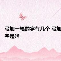 弓加一笔的字有几个 弓加一笔的字是啥