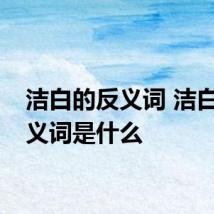 洁白的反义词 洁白的反义词是什么