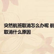 突然航班取消怎么办呢 航班突然取消什么原因