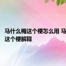 马什么梅这个梗怎么用 马什么梅这个梗解释