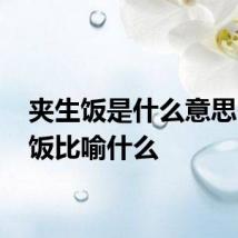 夹生饭是什么意思 夹生饭比喻什么