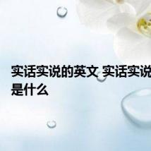 实话实说的英文 实话实说的英语是什么