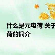 什么是元电荷 关于元电荷的简介