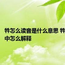 牪怎么读音是什么意思 牪在字典中怎么解释