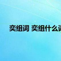 奕组词 奕组什么词
