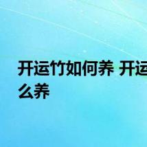 开运竹如何养 开运竹怎么养