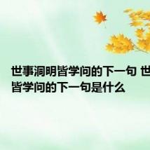 世事洞明皆学问的下一句 世事洞明皆学问的下一句是什么