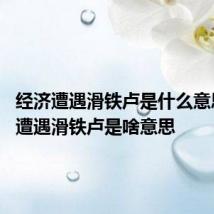 经济遭遇滑铁卢是什么意思 经济遭遇滑铁卢是啥意思