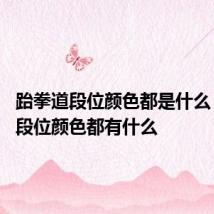 跆拳道段位颜色都是什么 跆拳道段位颜色都有什么