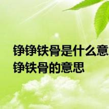 铮铮铁骨是什么意思 铮铮铁骨的意思