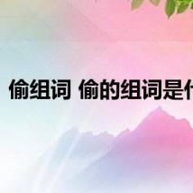 偷组词 偷的组词是什么