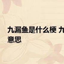 九漏鱼是什么梗 九漏鱼意思