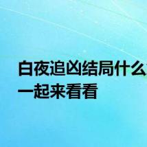 白夜追凶结局什么意思 一起来看看