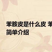 苯胺皮是什么皮 苯胺皮简单介绍