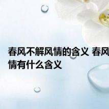 春风不解风情的含义 春风不解风情有什么含义