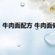 牛肉面配方 牛肉面做法
