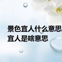 景色宜人什么意思 景色宜人是啥意思